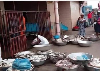 Poisson hors de prix à Port-Gentil