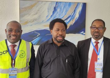 Observateurs électoraux gabonais