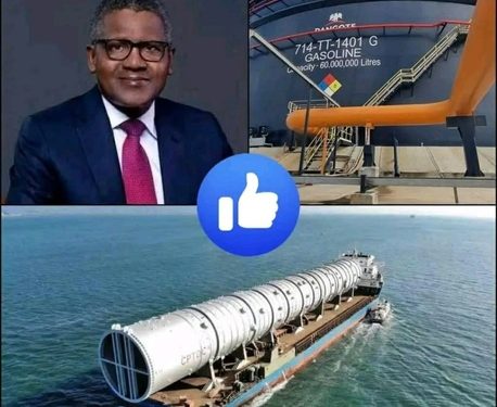 Aliko Dangote, l'homme le plus riche d'Afrique