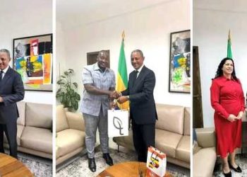 Diplomatie Verte : Le Gabon tisse sa toile