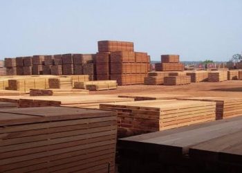 Le Gabon pionnier de l'économie verte