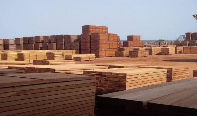 Le Gabon pionnier de l'économie verte