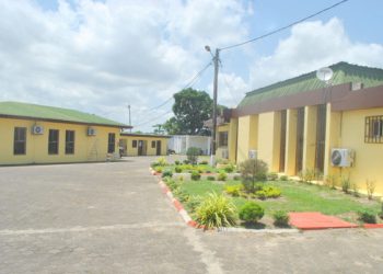 Arsène Édouard Nkoghe Nze face à la famille d’Elie Nazaire Obiang Bekale