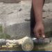 Gabon : Réseaux d’eau et d’électricité