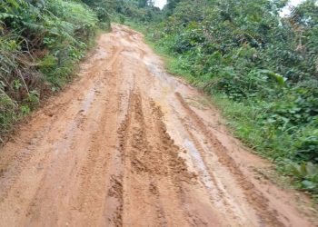 Malinga, le miroir d’un Gabon oublié