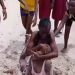 Violences scolaires