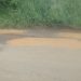 Bifoun-Lambaréné : 74,6 km de promesses en suspens