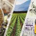 Gabon : Diversifier l’économie