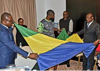 Le drapeau « Vert-Jaune-Bleu »