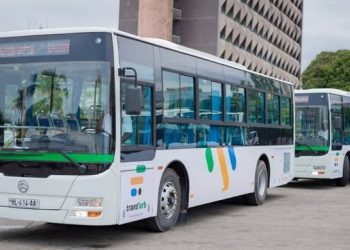 Les bus de la compagnie Trans Urb