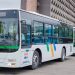Les bus de la compagnie Trans Urb