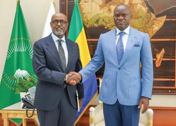 Gabon FMI