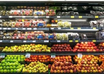 Exportations agricoles d'Afrique du Sud