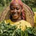 Autosuffisance alimentaire 2027