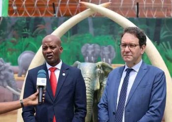 La salle de stockage d’ivoire