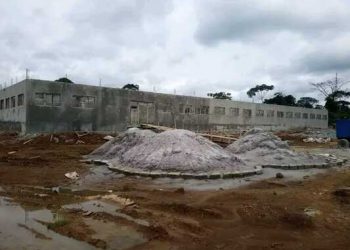Makongonio