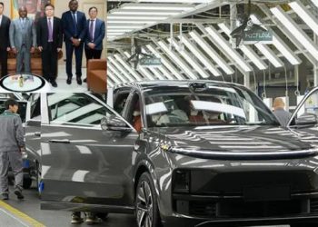 Le chinois ZMEV Limited