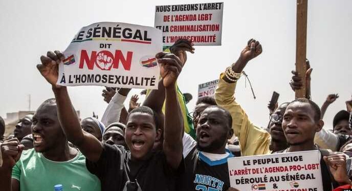 sénégalais et homosexualité