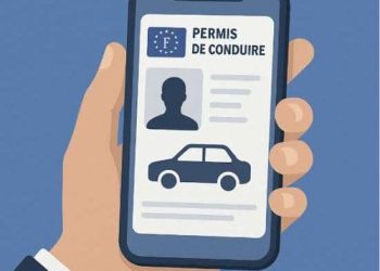 permis de conduire numérique