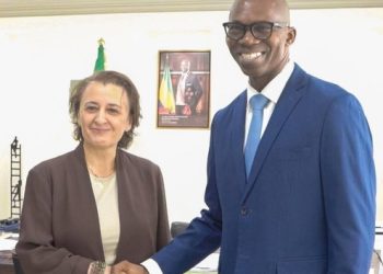 FMI au Gabon
