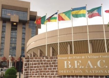 Banques commerciales camerounaises