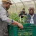 AGROPAG : Raymond Ndong Sima en première ligne pour gagner la bataille de la souveraineté alimentaire