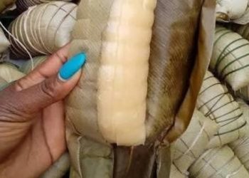 excréments dans du manioc
