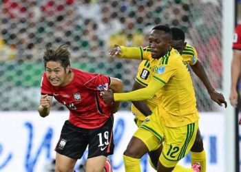 Afrique du sud