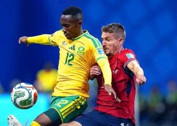l'Afrique du Sud