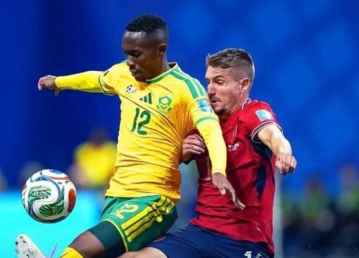 l'Afrique du Sud