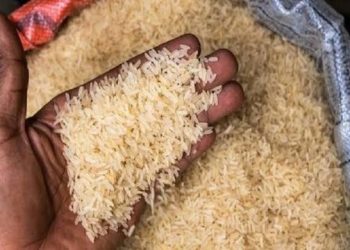 riz gabonais