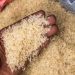 riz gabonais