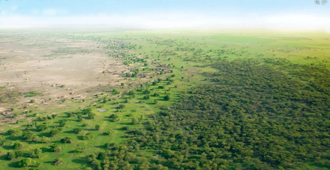 Chine 66 milliards d'arbres