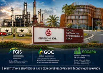 FGIS, GOC et SOGARA : 3 géants de la rente pétrolière au cœur d&rsquo;un vaste audit national