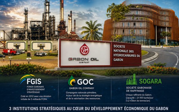 FGIS, GOC et SOGARA : 3 géants de la rente pétrolière au cœur d&rsquo;un vaste audit national