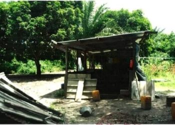 Le terrain de Malibé 1