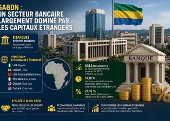 huit 8 banques gabonaises