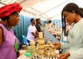 Entrepreneuriat