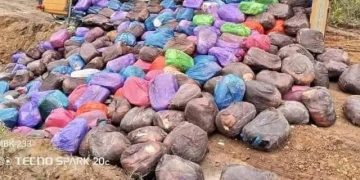 Lebamba