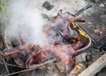 Une viande insalubre en pleine aire à Mont-Bouët