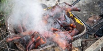 Une viande insalubre en pleine aire à Mont-Bouët
